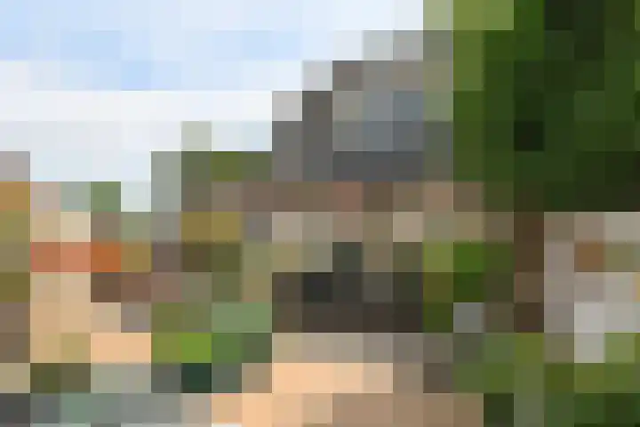 Akkerhoef 13 Bergen op Zoom thumbnail 31