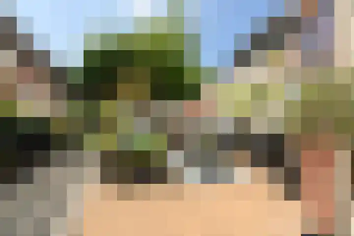 Akkerhoef 13 Bergen op Zoom thumbnail 32