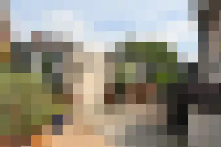 Akkerhoef 13 Bergen op Zoom thumbnail 34