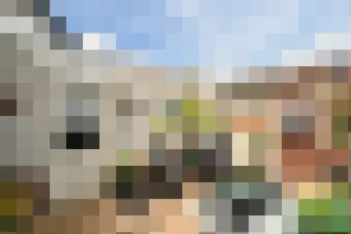 Akkerhoef 13 Bergen op Zoom thumbnail 35