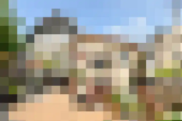Akkerhoef 13 Bergen op Zoom thumbnail 36