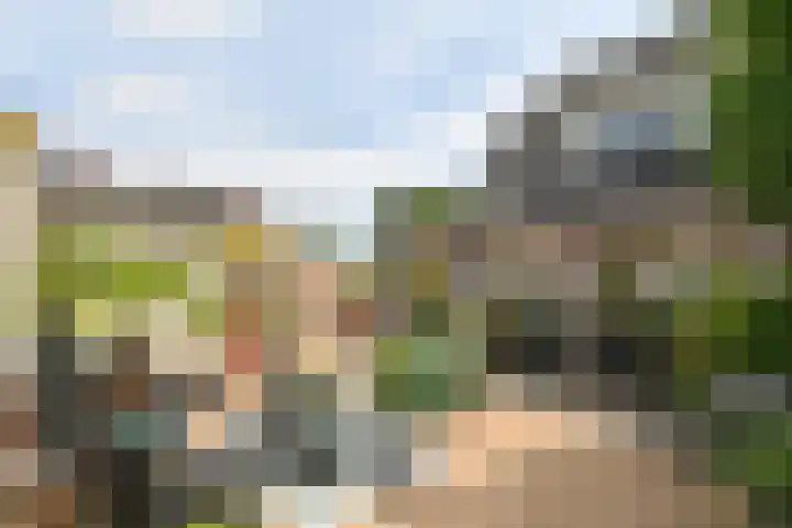 Akkerhoef 13 Bergen op Zoom thumbnail 38