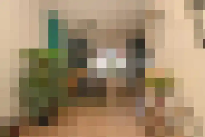 Akkerhoef 13 Bergen op Zoom thumbnail 8