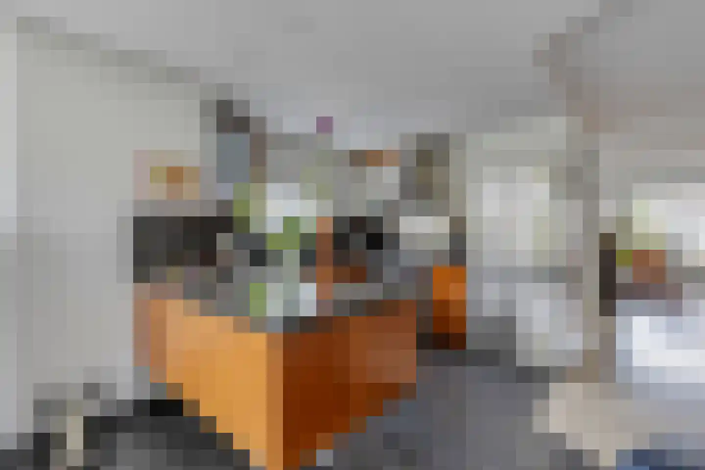 Akkerhoef 17 Bergen op Zoom thumbnail 25