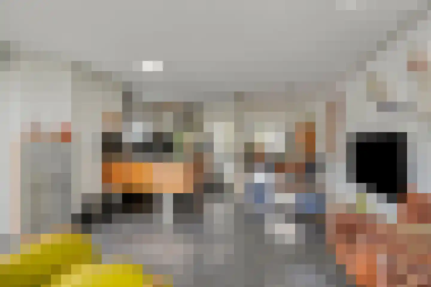 Akkerhoef 17 Bergen op Zoom thumbnail 33