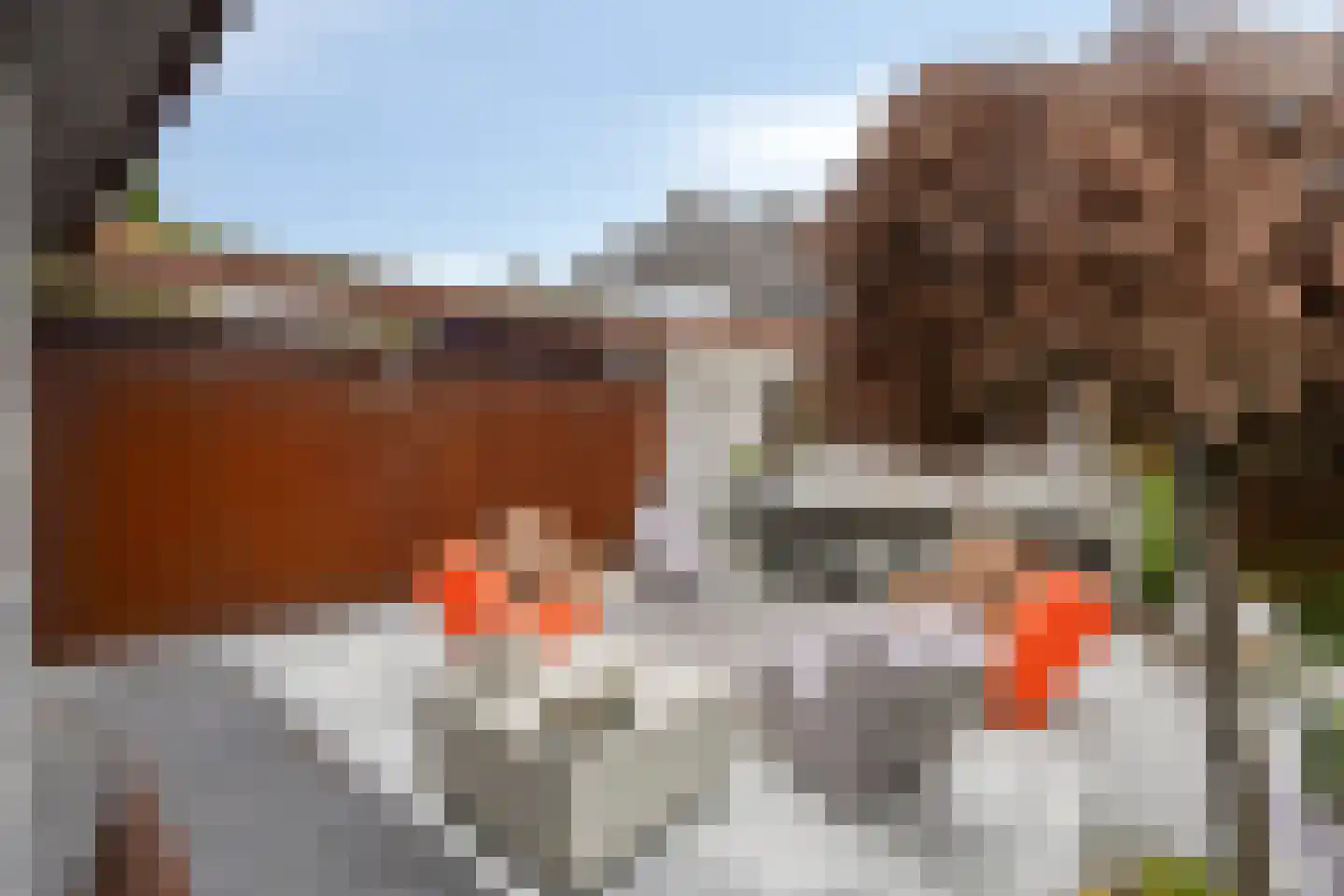 Akkerhoef 17 Bergen op Zoom thumbnail 54