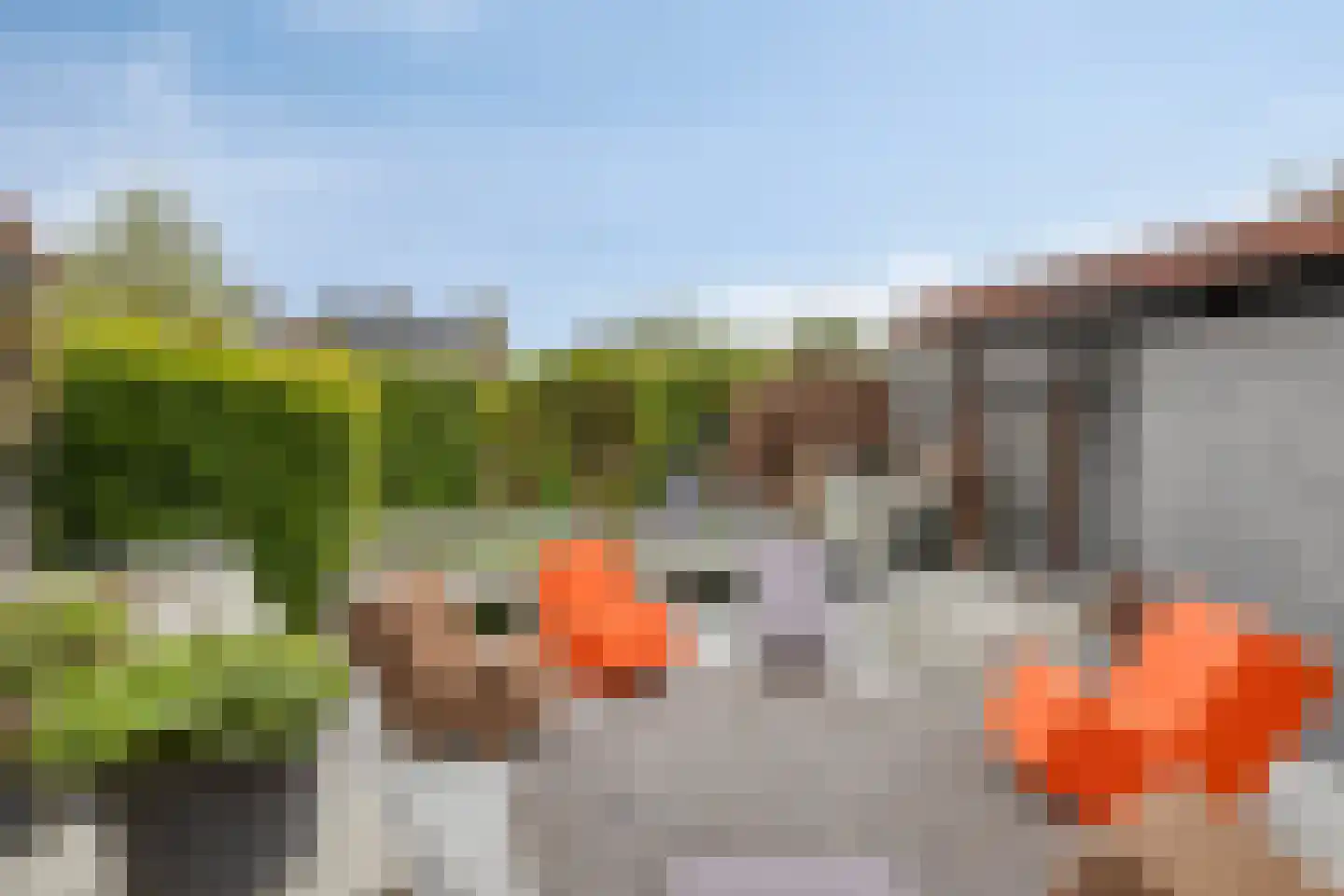 Akkerhoef 17 Bergen op Zoom thumbnail 56