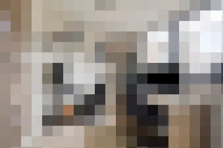 Akkerhoef 18 Bergen op Zoom thumbnail 12