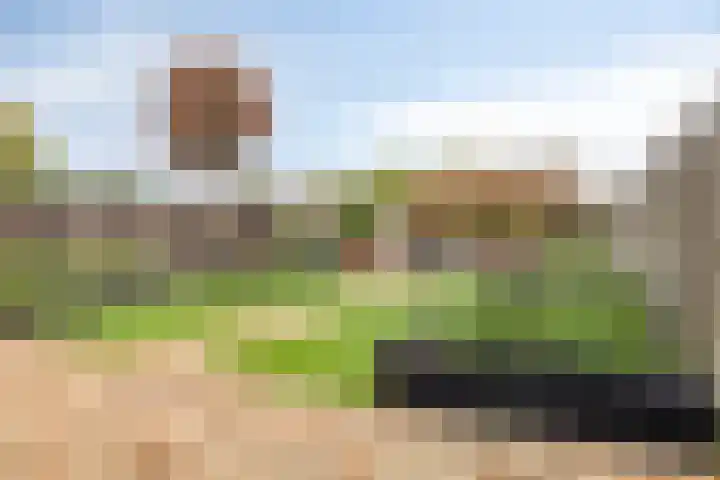 Akkerhoef 18 Bergen op Zoom thumbnail 36