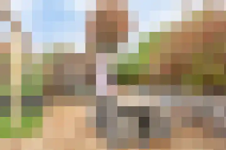 Akkerhoef 18 Bergen op Zoom thumbnail 39