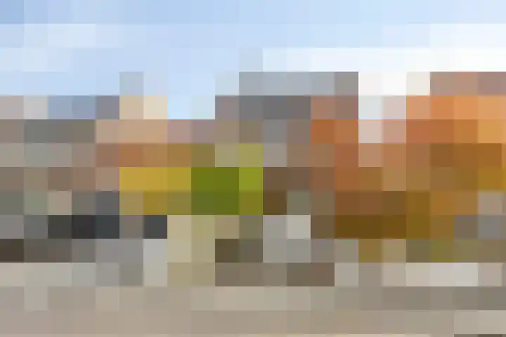 Akkerhoef 18 Bergen op Zoom thumbnail 46