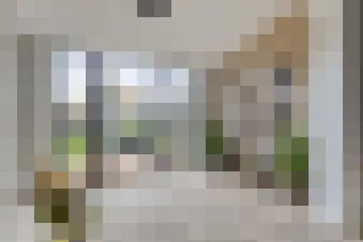Akkerhoef 18 Bergen op Zoom thumbnail 8