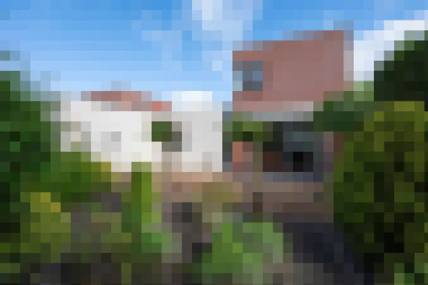 Akkerhof 1 Etten-Leur thumbnail 25