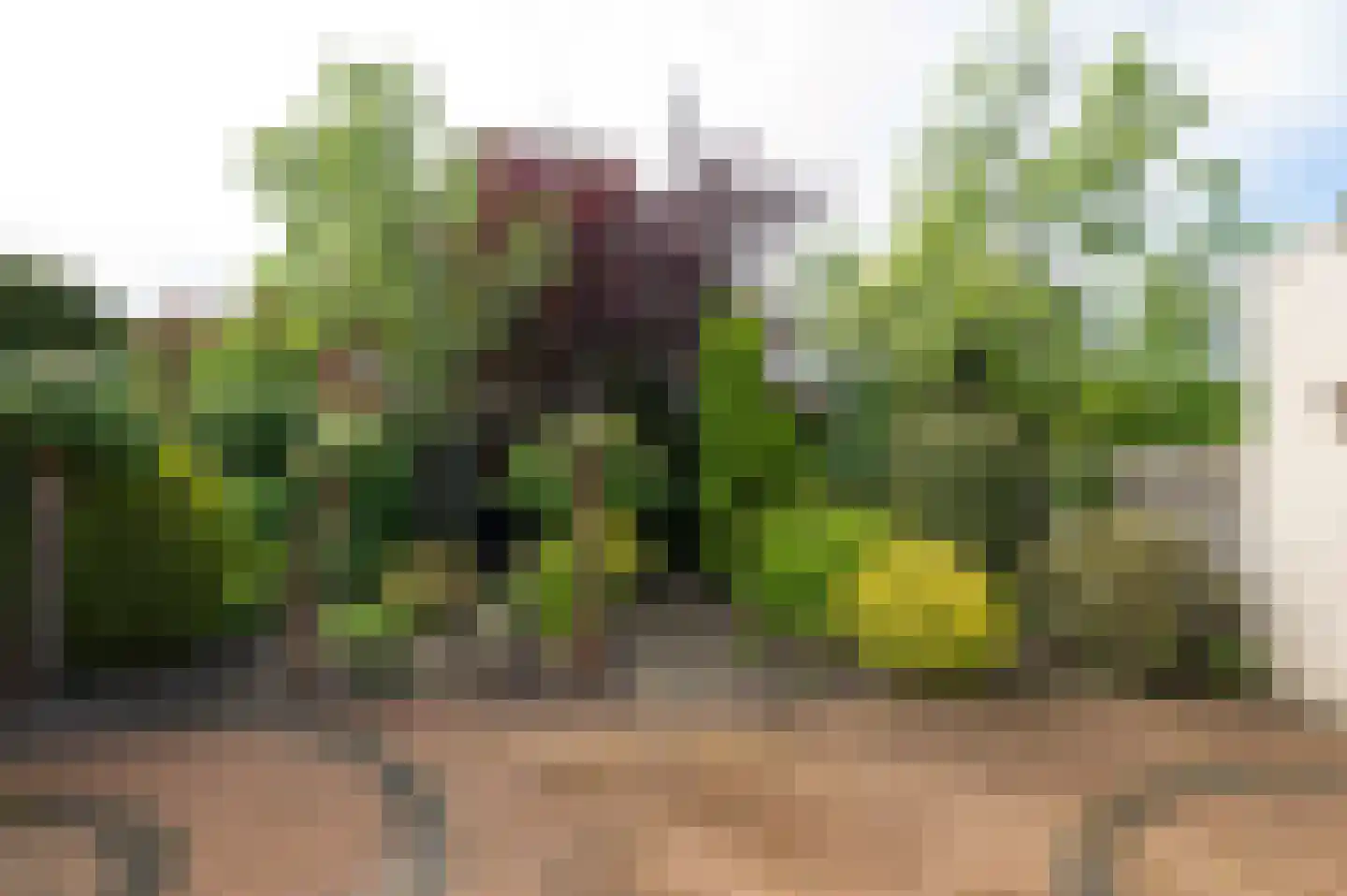 Akkerhof 1 Etten-Leur thumbnail 27
