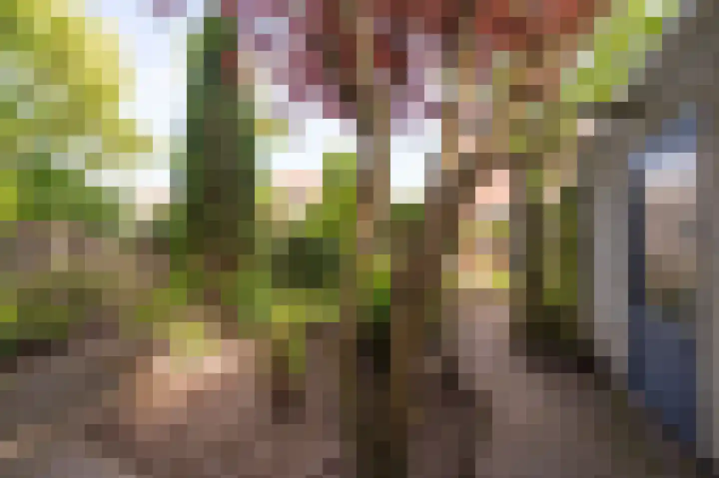 Akkerhof 1 Etten-Leur thumbnail 28