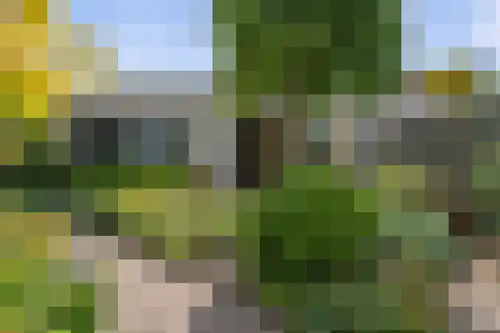 Akkerhof 21 Etten-Leur thumbnail 27