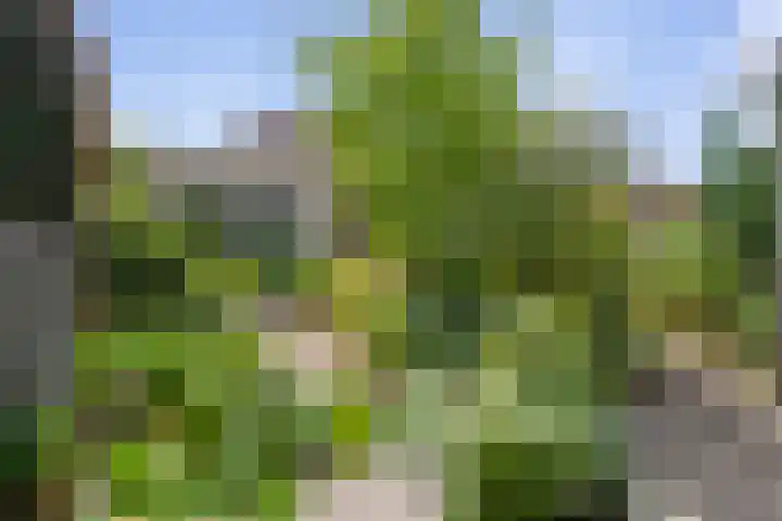 Akkerhof 21 Etten-Leur thumbnail 28