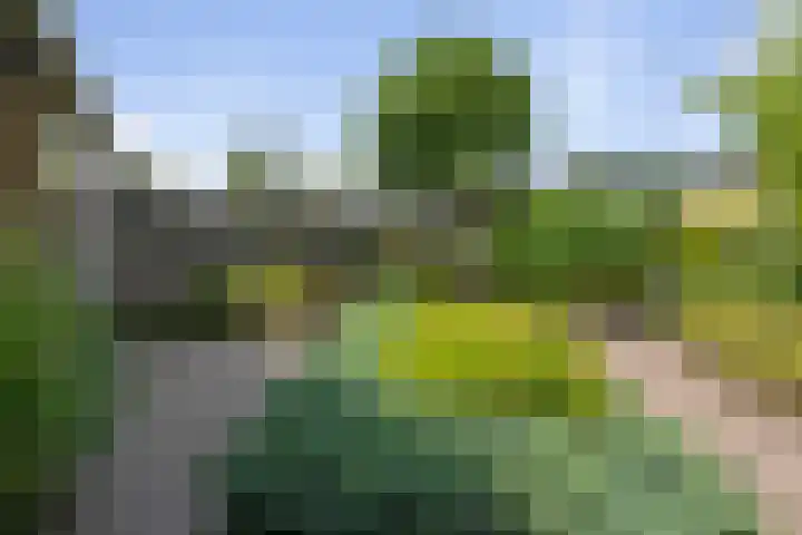 Akkerhof 21 Etten-Leur thumbnail 29