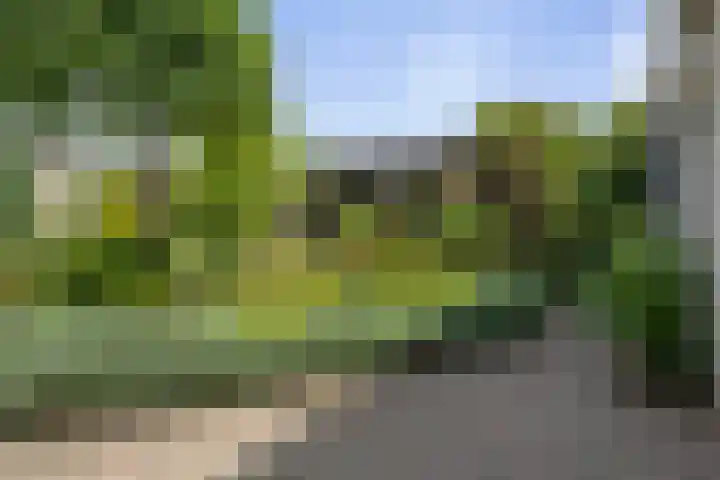 Akkerhof 21 Etten-Leur thumbnail 30