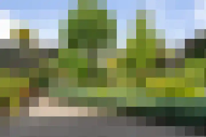 Akkerhof 21 Etten-Leur thumbnail 31