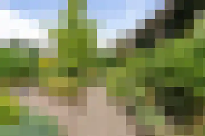 Akkerhof 21 Etten-Leur thumbnail 32
