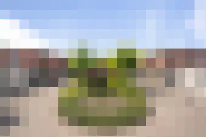 Akkerhof 21 Etten-Leur thumbnail 35