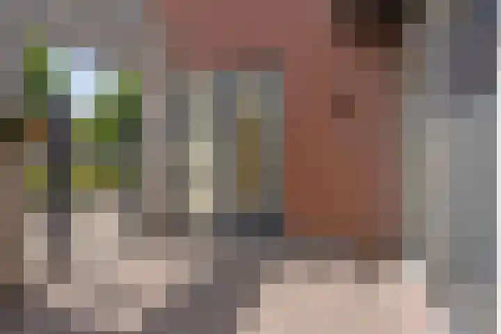Akkerhof 21 Etten-Leur thumbnail 5