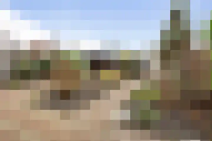 Akkerhof 23 Etten-Leur thumbnail 25
