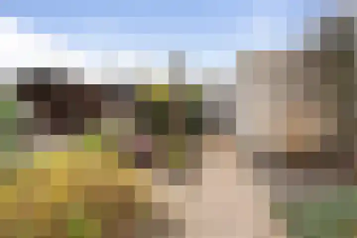 Akkerhof 23 Etten-Leur thumbnail 29