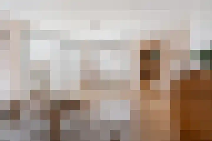 Akkerhof 23 Etten-Leur thumbnail 6