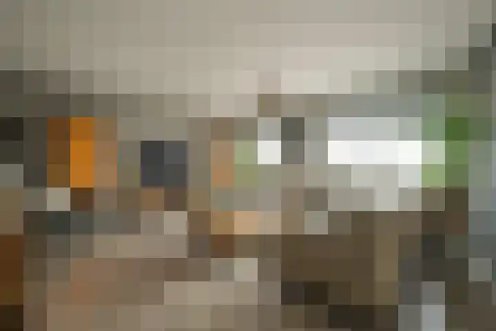 Akkerhof 5 Schoonrewoerd thumbnail 16