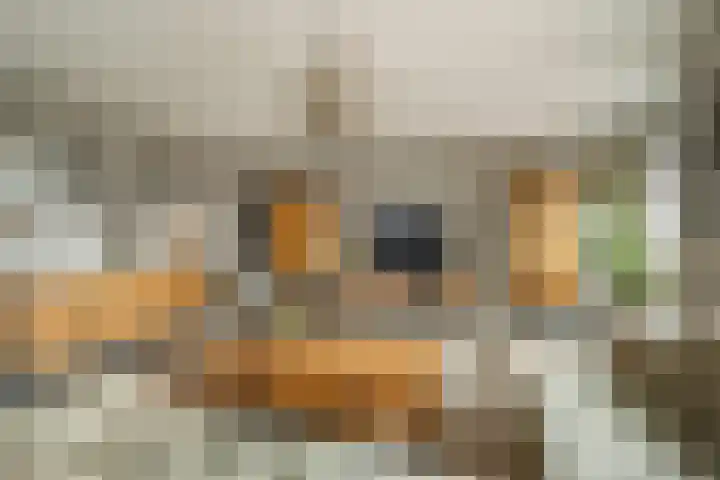 Akkerhof 5 Schoonrewoerd thumbnail 17