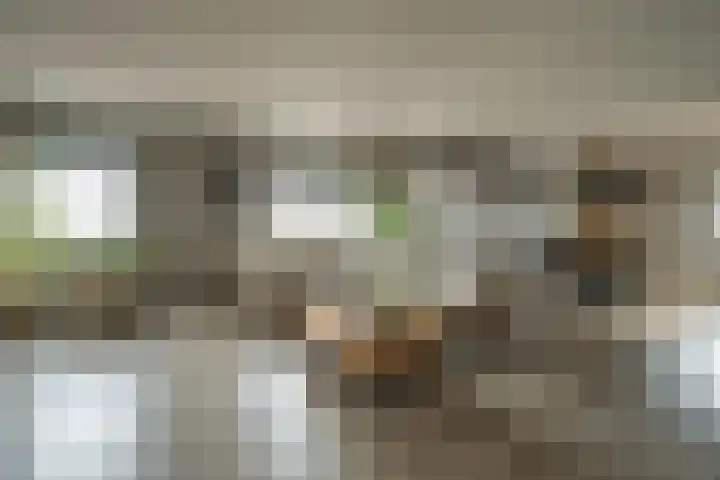 Akkerhof 5 Schoonrewoerd thumbnail 18