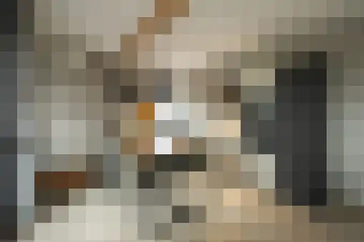 Akkerhof 5 Schoonrewoerd thumbnail 22