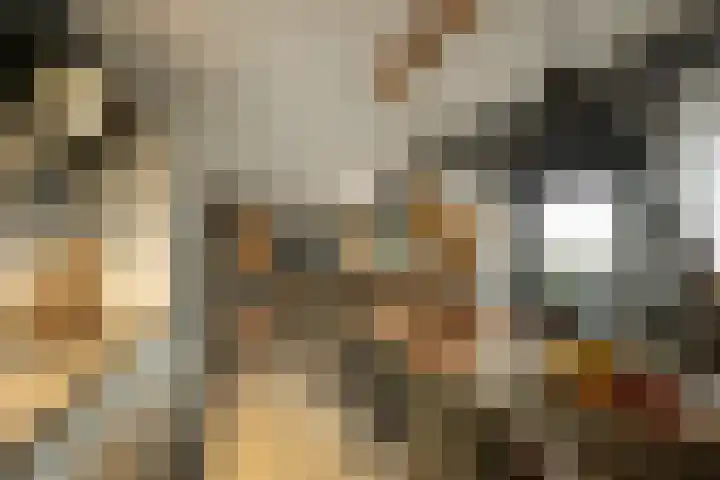 Akkerhof 5 Schoonrewoerd thumbnail 24