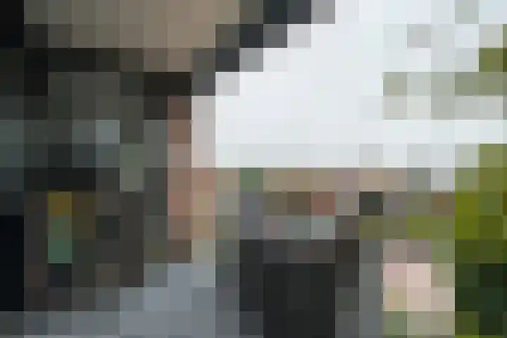 Akkerhof 5 Schoonrewoerd thumbnail 27