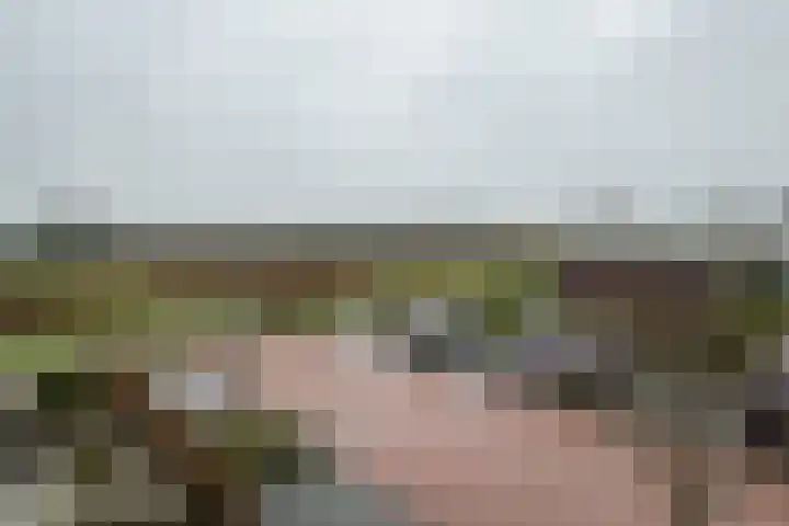 Akkerhof 5 Schoonrewoerd thumbnail 29