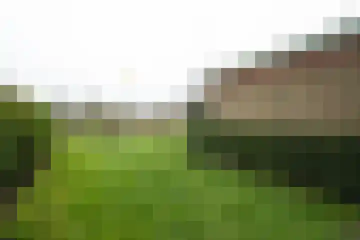 Akkerhof 5 Schoonrewoerd thumbnail 41