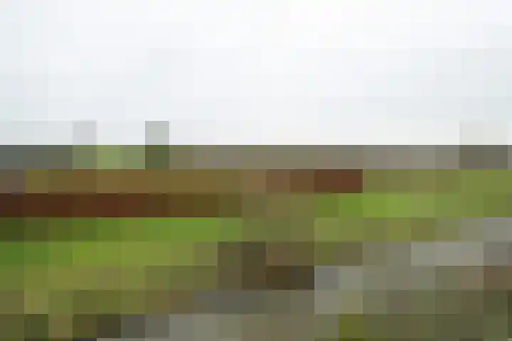 Akkerhof 5 Schoonrewoerd thumbnail 46