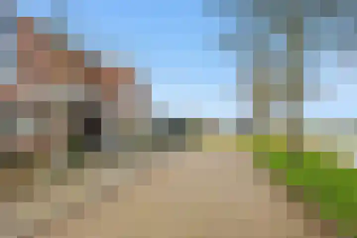 Akkerhommel 5 Krommenie thumbnail 10