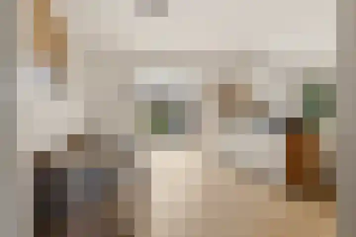 Akkerhommel 5 Krommenie thumbnail 15