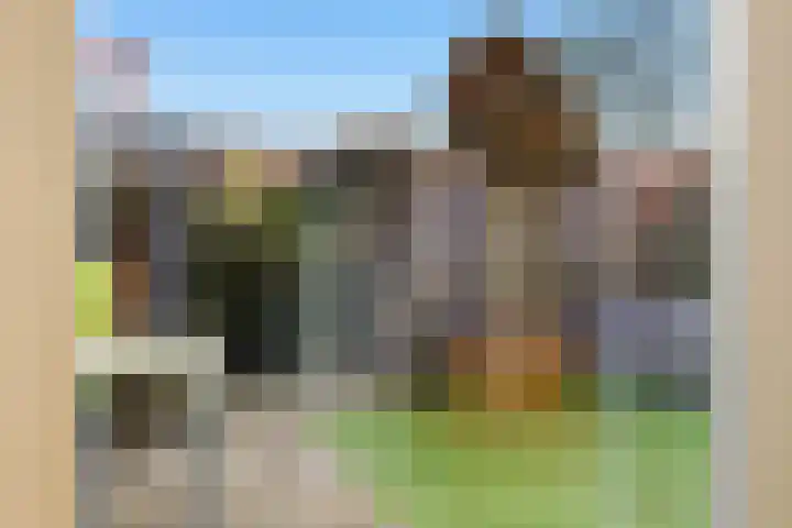 Akkerhommel 5 Krommenie thumbnail 21
