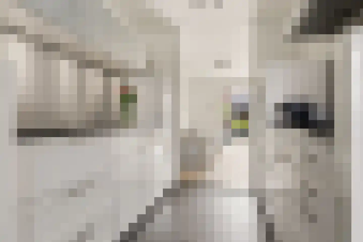 Akkerhommel 5 Krommenie thumbnail 25