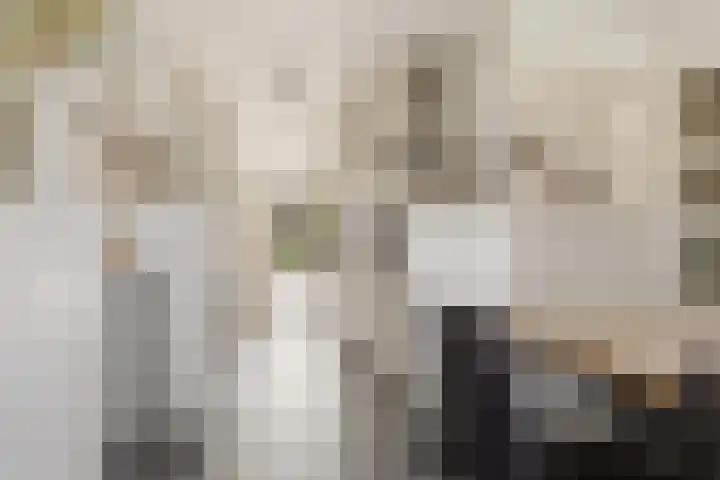 Akkerhommel 5 Krommenie thumbnail 26