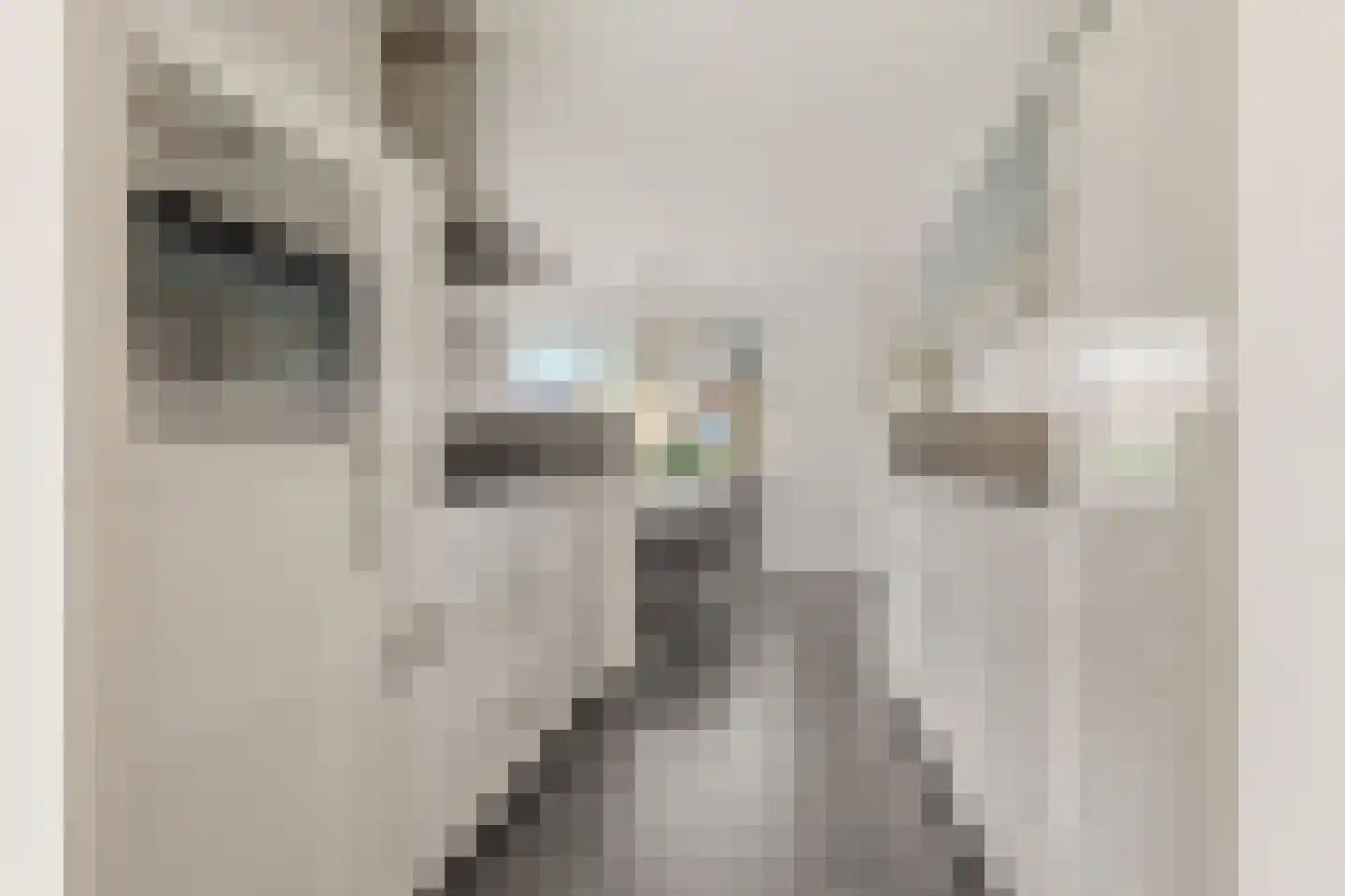 Akkerhommel 5 Krommenie thumbnail 27