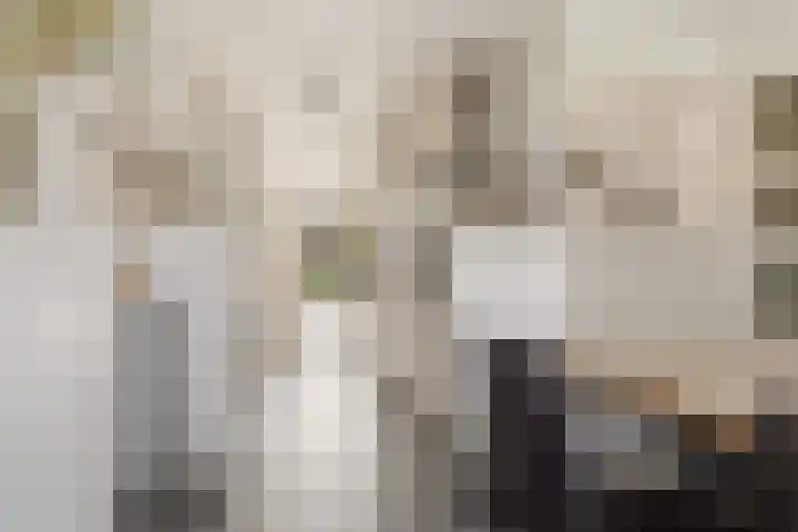 Akkerhommel 5 Krommenie foto 3