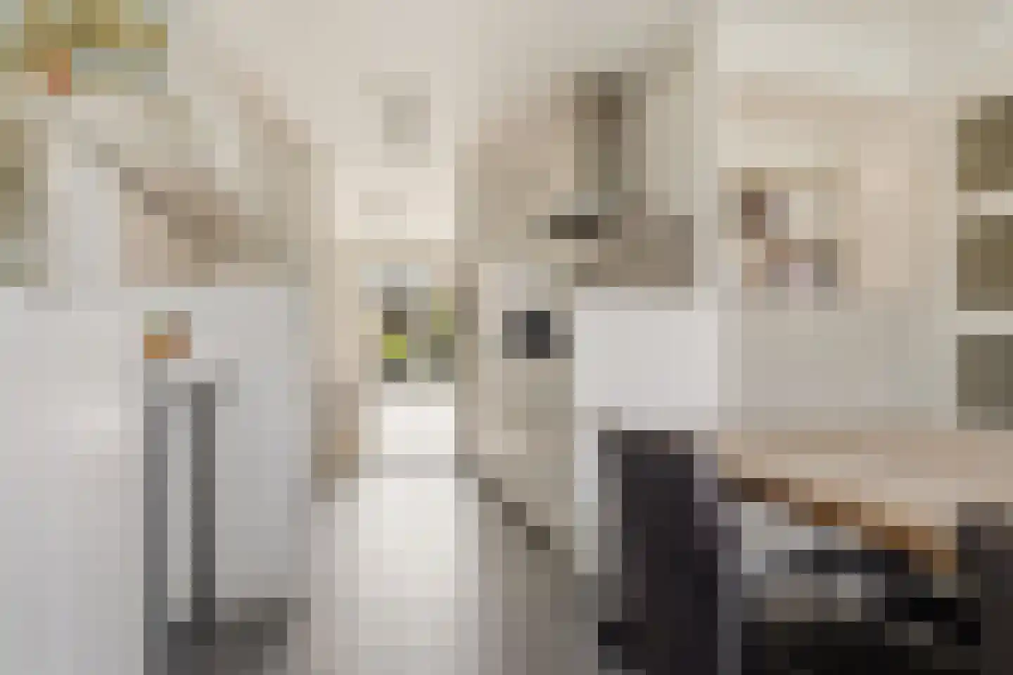 Akkerhommel 5 Krommenie foto 3