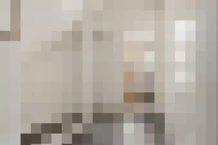 Akkerhommel 5 Krommenie thumbnail 32