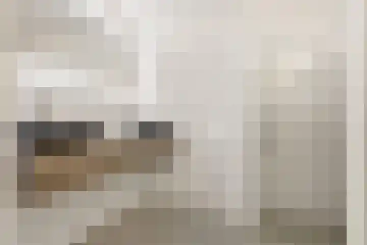 Akkerhommel 5 Krommenie thumbnail 39