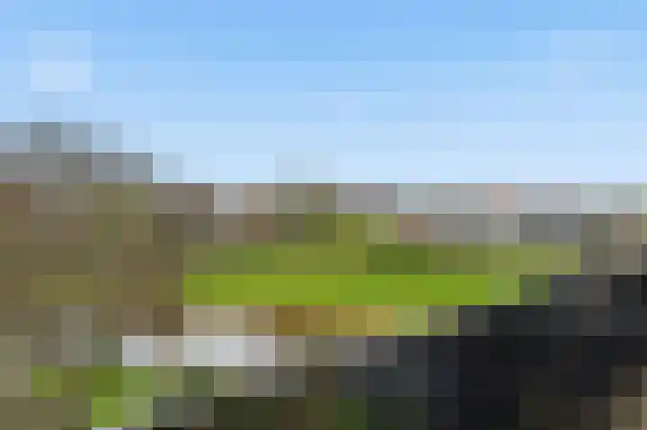 Akkerhommel 5 Krommenie thumbnail 44
